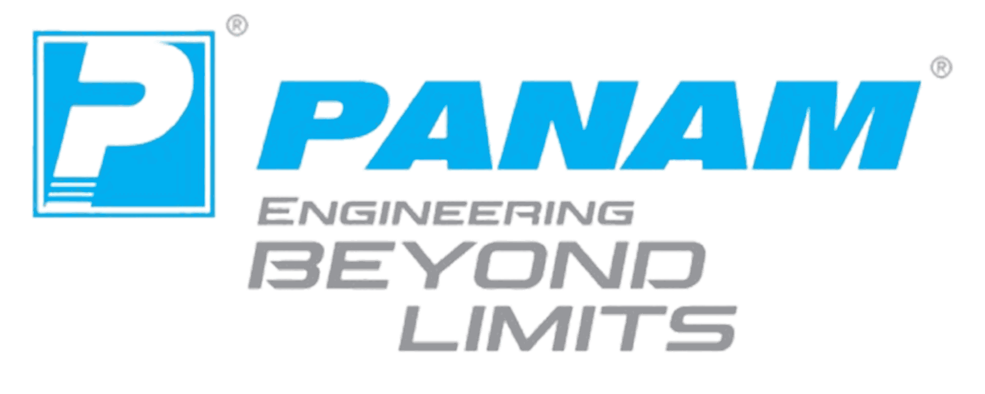 Panam Valves logo